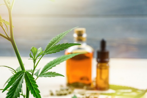 Produits CBD bio en France